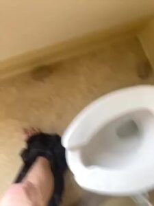 Free Scat Porn