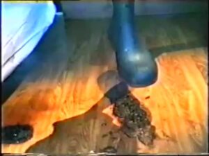 Free Scat Porn