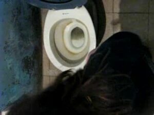 Free Scat Porn