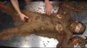 Free Scat Porn