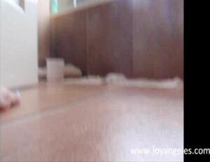 Free Scat Porn