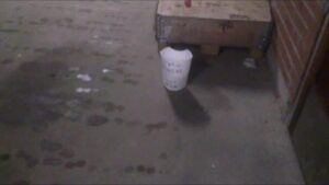 Free Scat Porn