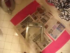 Free Scat Porn