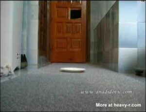 Free Scat Porn