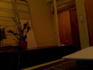 Free Scat Porn