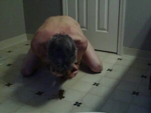 Free Scat Porn