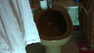 Free Scat Porn
