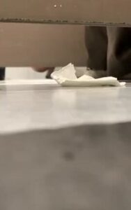 Free Scat Porn
