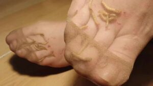 Free Scat Porn