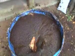 Free Scat Porn