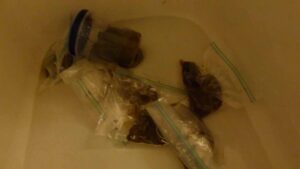 Free Scat Porn