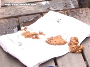 Free Scat Porn