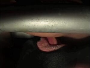 Free Scat Porn