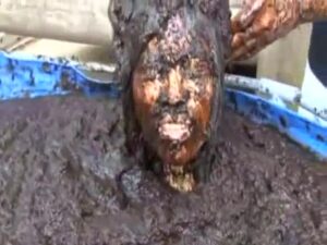 Free Scat Porn
