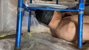 Free Scat Porn