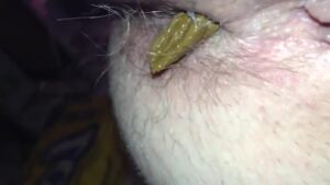 Free Scat Porn