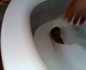 Free Scat Porn