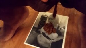 Free Scat Porn