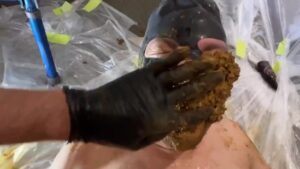 Free Scat Porn