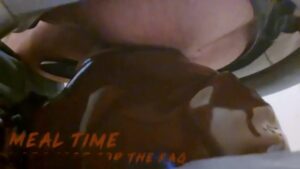 Free Scat Porn
