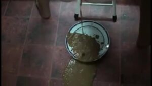 Free Scat Porn
