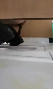Free Scat Porn