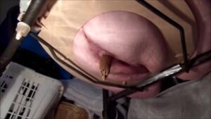 Free Scat Porn