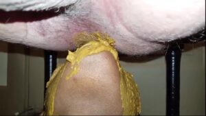 Free Scat Porn