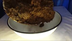 Free Scat Porn