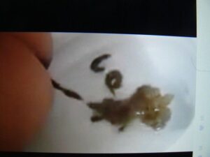 Free Scat Porn