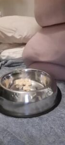 Free Scat Porn