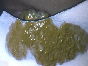 Free Scat Porn