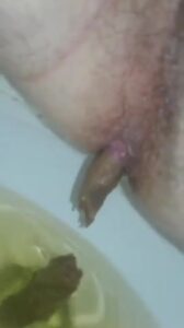 Free Scat Porn