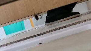 Free Scat Porn