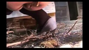 Free Scat Porn