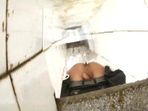 Free Scat Porn