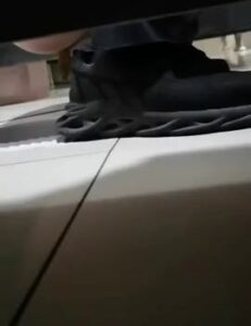 Free Scat Porn