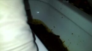 Free Scat Porn