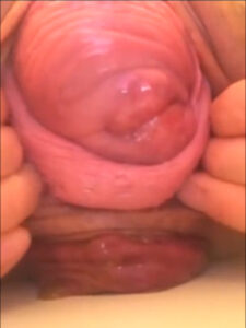 Free Scat Porn