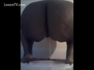 Free Scat Porn