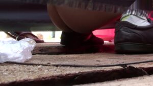 Free Scat Porn