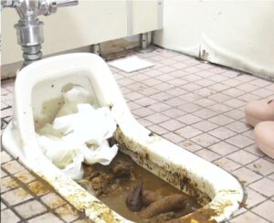 Free Scat Porn