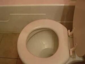 Free Scat Porn
