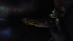 Free Scat Porn
