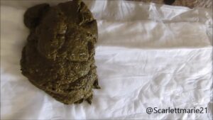 Free Scat Porn