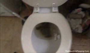 Free Scat Porn