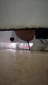 Free Scat Porn