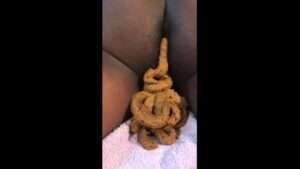 Free Scat Porn
