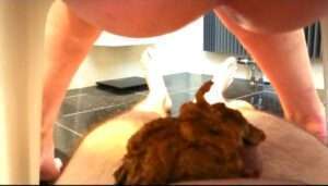 Free Scat Porn
