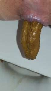 Free Scat Porn
